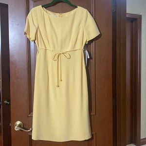Maggie London Petite 100% Silk Dress, NWT